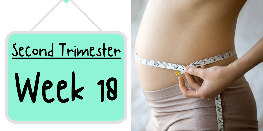 Pregnancy Week by Week: Week 18