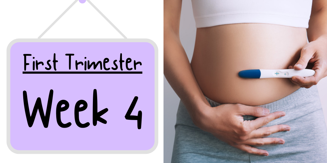 Pregnancy Week by Week: Week 4