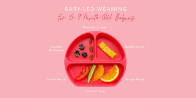 Baby Led Weaning with Bumkins